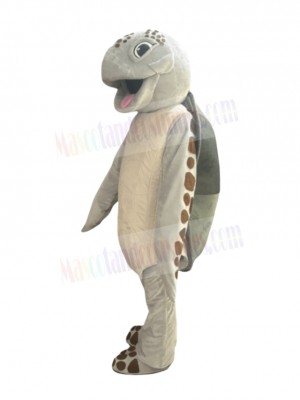 Turtle mascot costume