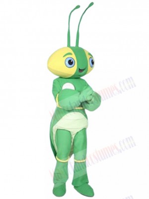 The Manty Mantis Mascot Costume Insect