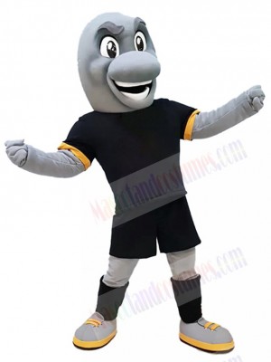 Dolphin mascot costume