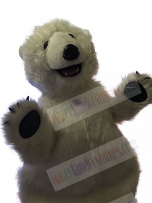 Polar Bear mascot costume