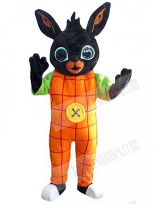 Easter Bunny Rabbit mascot costume