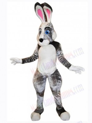 Easter Bunny Rabbit mascot costume