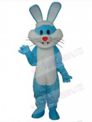 Easter Bunny Rabbit mascot costume