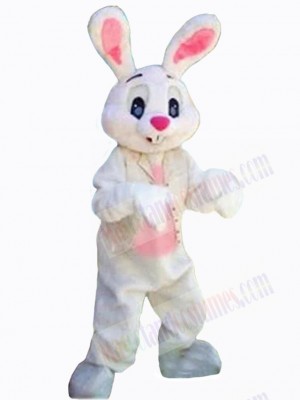 Lovely Easter Bunny Rabbit Mascot Costume Animal