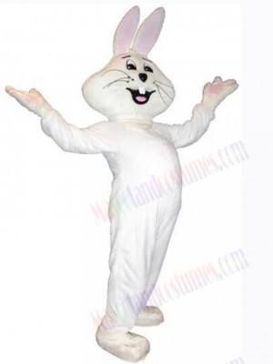 Easter Bunny Rabbit mascot costume