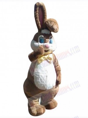 Easter Bunny Rabbit mascot costume