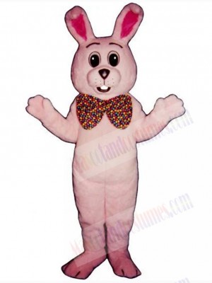 Easter Bunny Rabbit mascot costume
