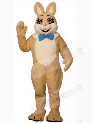 Smiling Brown Easter Bunny Mascot Costume Animal