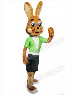 Easter Bunny Rabbit mascot costume