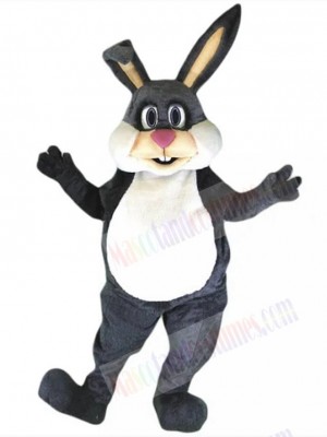 Easter Bunny Rabbit mascot costume