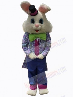 Easter Bunny Rabbit mascot costume