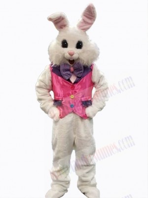 Easter Bunny Rabbit mascot costume