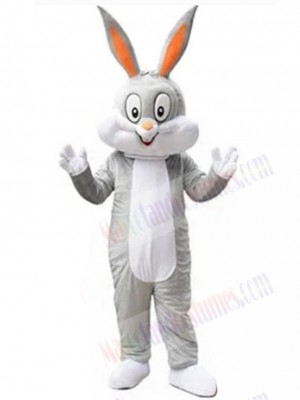 Easter Bunny Rabbit mascot costume