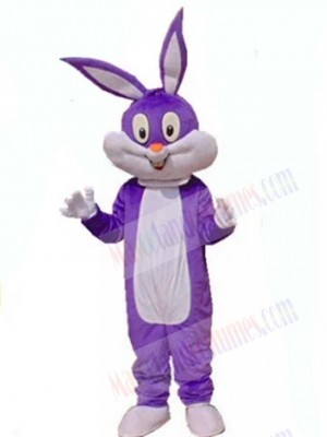 Easter Bunny Rabbit mascot costume