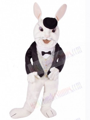 Easter Bunny Rabbit mascot costume