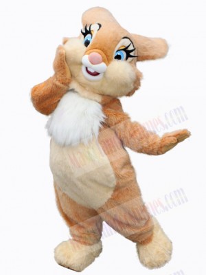 Easter Bunny Rabbit mascot costume