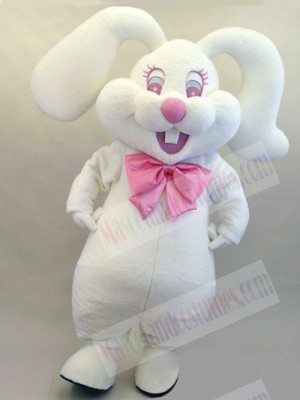 Easter Bunny Rabbit mascot costume