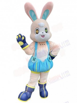 Friendly Rabbit Mascot Costume Cartoon