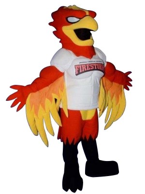 Fire Storm Red Eagle Phoenix Mascot Costumes Animal 