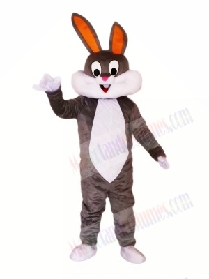Cute Gray & White Rabbit Mascot Costumes