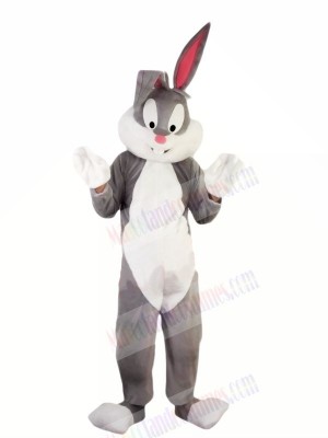 Hot Professional Easter Bunny Mascot Costumes Cheap