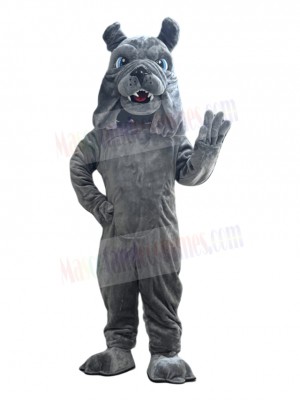Dark Gray Bully Bulldog Mascot Costume Animal