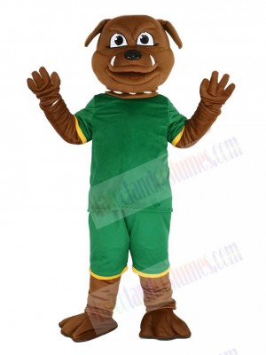 Brown Bulldog in Green Sweatshirt Mascot Costume