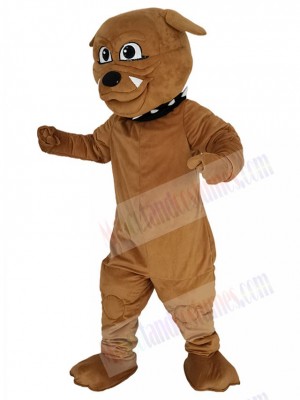 Bulldog mascot costume