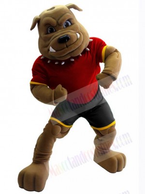 Bulldog mascot costume