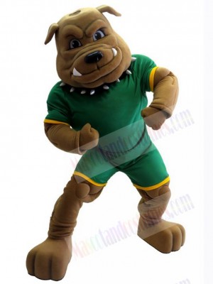 Bulldog Custom Animal Mascot Costume