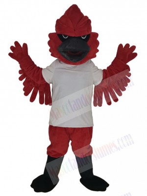 Cardinal Bird in White T-shirt Mascot Costume