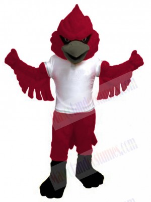 Cardinal mascot costume