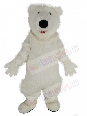 Cute Giant Fat Polar Bear Mascot Costume Animal