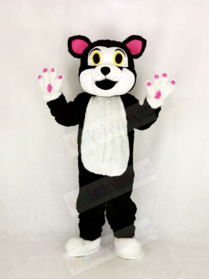 Cute Cat with Green Eyes Mascot Costume Cartoon	