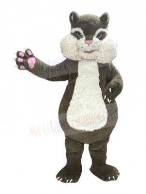 Squirrel mascot costume