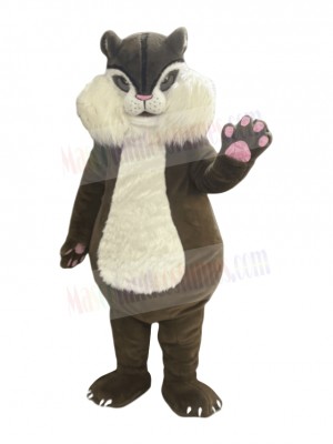 Squirrel mascot costume