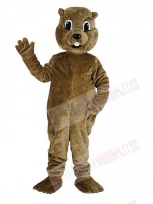 Brown Groundhog Mascot Costume Animal