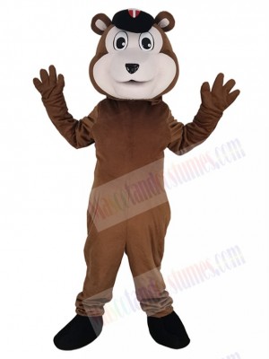 Baseball Brown Bear Mascot Costume Animal
