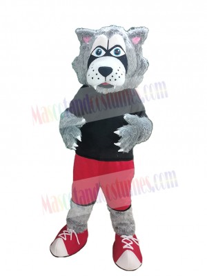 Adorable Wolf Mascot Costume Animal