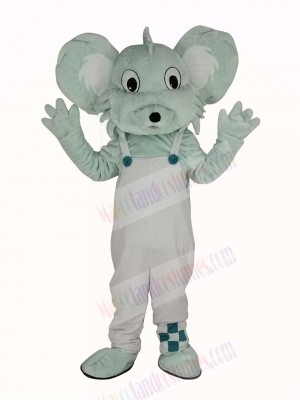 Grey Koala in White Coat Mascot Costume