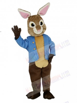 Brown and Gray Peter Rabbit Mascot Costume