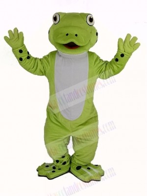 Cute Happy Frog Mascot Costume