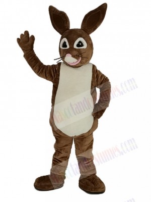 Brown Peter Rabbit Mascot Costume Cartoon