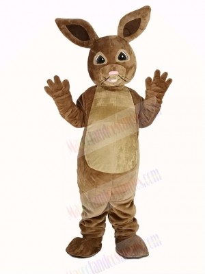 Peter Rabbit Mascot Costume