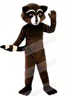 Wild Black Racoon Mascot Costumes Cartoon