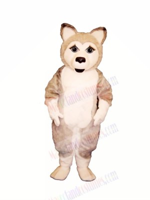 Cute Wolf Mascot Costumes Cartoon