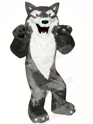 Grey and White Wolf Mascot Costumes Cartoon