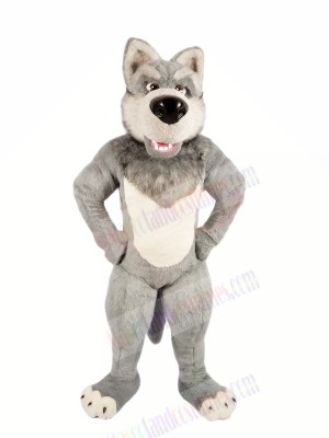 Grey Wolf with Big Nose Mascot Costumes Cartoon	