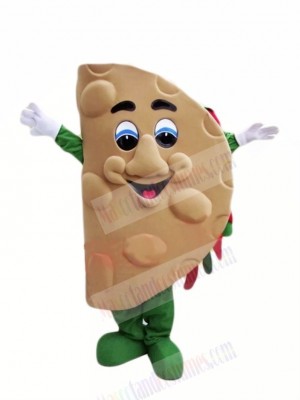 Cute Taco Mascot Costume Cartoon
