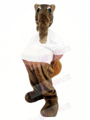 Brown Anteater Mascot Costume Cartoon